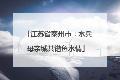 江苏省泰州市：水兵母亲城共谱鱼水情