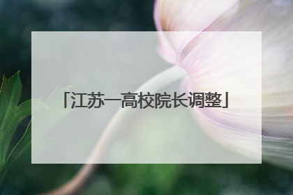 江苏一高校院长调整