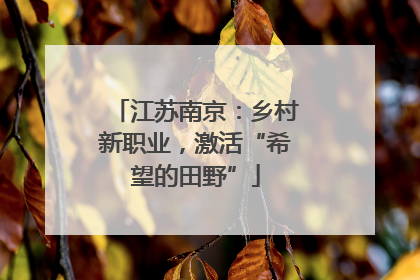 江苏南京：乡村新职业，激活“希望的田野”
