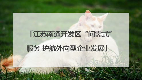 江苏南通开发区“问需式”服务 护航外向型企业发展