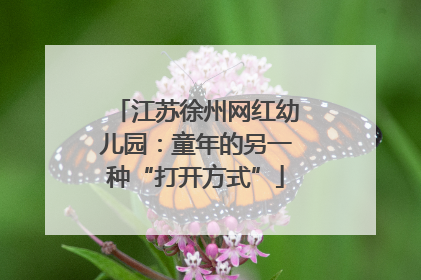 江苏徐州网红幼儿园：童年的另一种“打开方式”