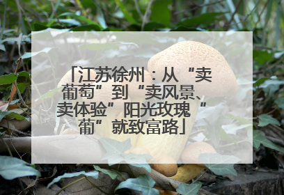 江苏徐州：从“卖葡萄”到“卖风景、卖体验”阳光玫瑰“葡”就致富路