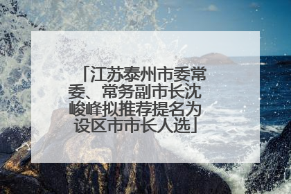 江苏泰州市委常委、常务副市长沈峻峰拟推荐提名为设区市市长人选