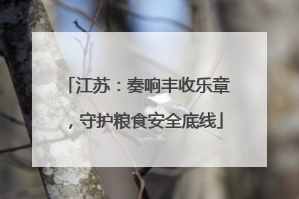 江苏：奏响丰收乐章，守护粮食安全底线