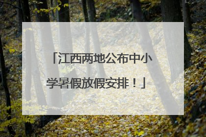 江西两地公布中小学暑假放假安排！