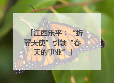 江西乐平：“折翼天使”引领“春天的事业”