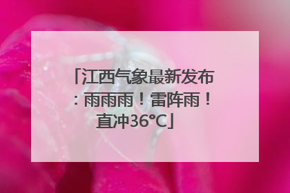 江西气象最新发布：雨雨雨！雷阵雨！直冲36°C