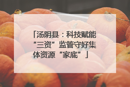 汤阴县：科技赋能“三资”监管守好集体资源“家底”