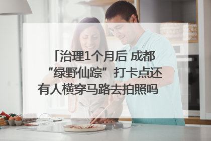 治理1个月后 成都“绿野仙踪”打卡点还有人横穿马路去拍照吗？｜民情瞭望