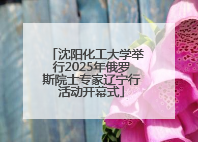 沈阳化工大学举行2025年俄罗斯院士专家辽宁行活动开幕式
