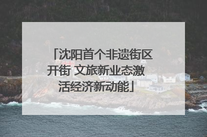 沈阳首个非遗街区开街 文旅新业态激活经济新动能