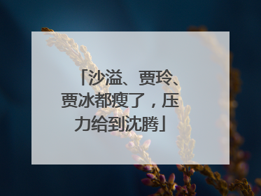 沙溢、贾玲、贾冰都瘦了，压力给到沈腾