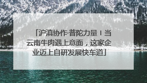 沪滇协作·普陀力量〡当云南牛肉遇上意面，这家企业迈上自研发展快车道