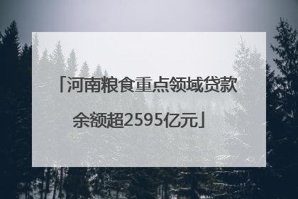 河南粮食重点领域贷款余额超2595亿元