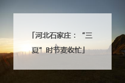 河北石家庄：“三夏”时节麦收忙