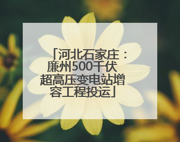 河北石家庄：廉州500千伏超高压变电站增容工程投运