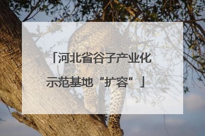 河北省谷子产业化示范基地“扩容”