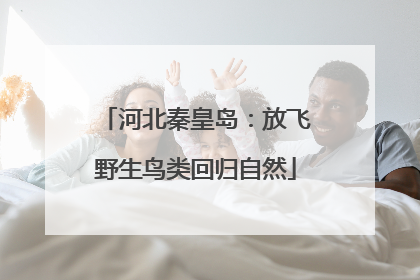 河北秦皇岛：放飞野生鸟类回归自然