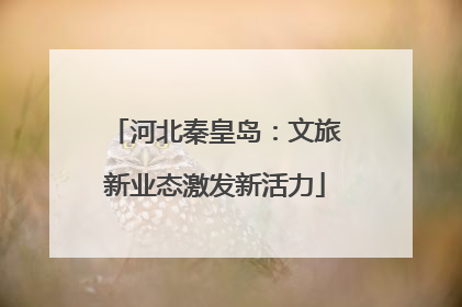 河北秦皇岛：文旅新业态激发新活力