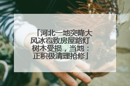 河北一地突降大风冰雹致房屋路灯树木受损，当地：正积极清理抢修