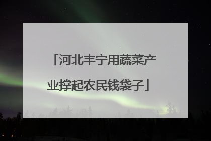 河北丰宁用蔬菜产业撑起农民钱袋子