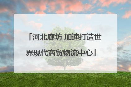 河北廊坊 加速打造世界现代商贸物流中心