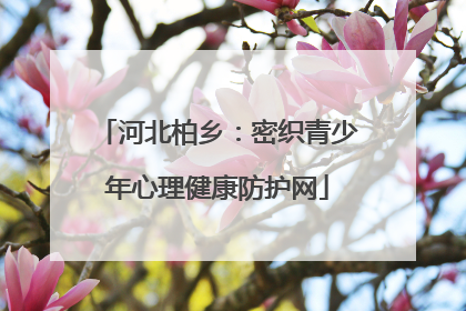 河北柏乡：密织青少年心理健康防护网