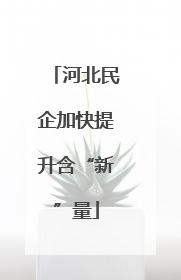 河北民企加快提升含“新”量