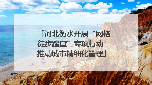 河北衡水开展“网格徒步踏查”专项行动 推动城市精细化管理