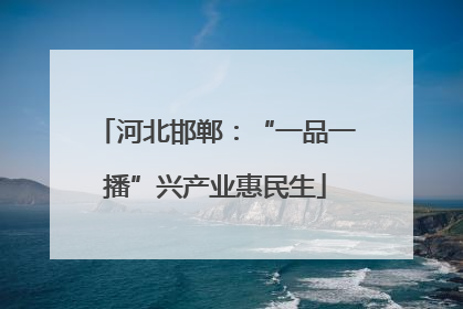 河北邯郸：“一品一播”兴产业惠民生