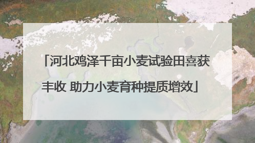 河北鸡泽千亩小麦试验田喜获丰收 助力小麦育种提质增效