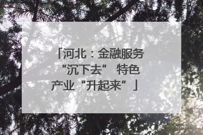 河北：金融服务“沉下去” 特色产业“升起来”