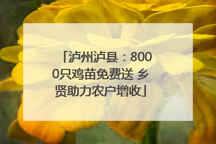 泸州泸县：8000只鸡苗免费送 乡贤助力农户增收