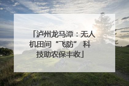 泸州龙马潭：无人机田间“飞防” 科技助农保丰收
