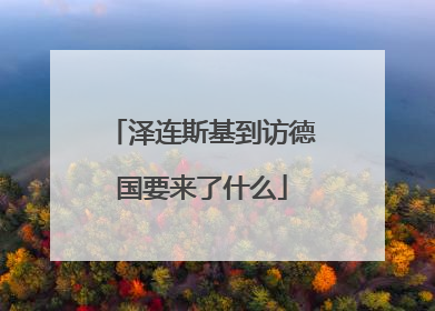 泽连斯基到访德国要来了什么