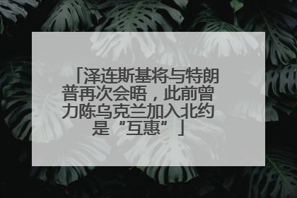 泽连斯基将与特朗普再次会晤，此前曾力陈乌克兰加入北约是“互惠”
