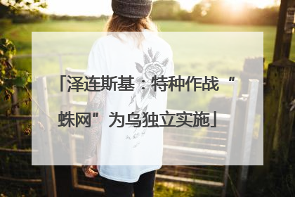 泽连斯基：特种作战“蛛网”为乌独立实施