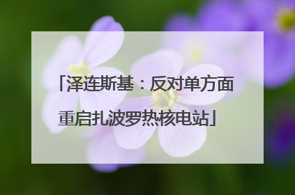 泽连斯基：反对单方面重启扎波罗热核电站