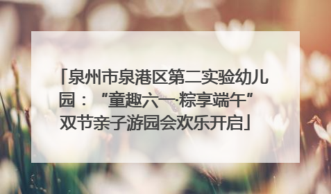 泉州市泉港区第二实验幼儿园：“童趣六一·粽享端午”双节亲子游园会欢乐开启