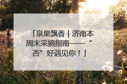 泉果飘香｜济南本周末采摘指南——“杏”好遇见你！