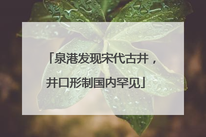 泉港发现宋代古井，井口形制国内罕见