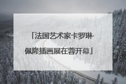 法国艺术家卡罗琳·佩隆插画展在蓉开幕