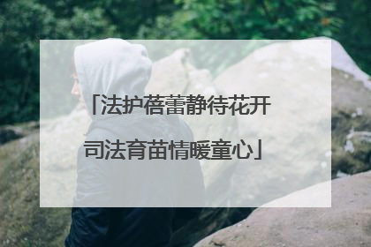 法护蓓蕾静待花开 司法育苗情暖童心