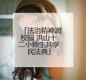 法治精神润校园 洪山十二小师生共学民法典