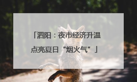 泗阳：夜市经济升温 点亮夏日“烟火气”