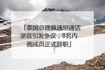 泰国总理佩通坦通话录音引发争议，8名内阁成员正式辞职