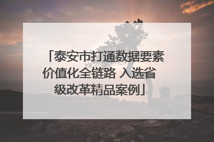 泰安市打通数据要素价值化全链路 入选省级改革精品案例