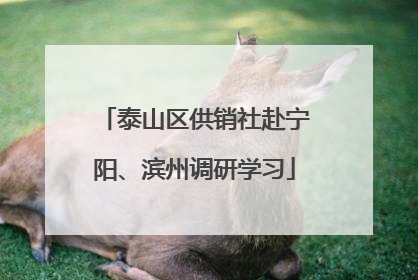 泰山区供销社赴宁阳、滨州调研学习