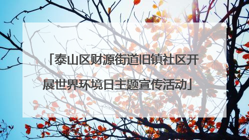 泰山区财源街道旧镇社区开展世界环境日主题宣传活动
