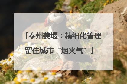 泰州姜堰：精细化管理留住城市“烟火气”
